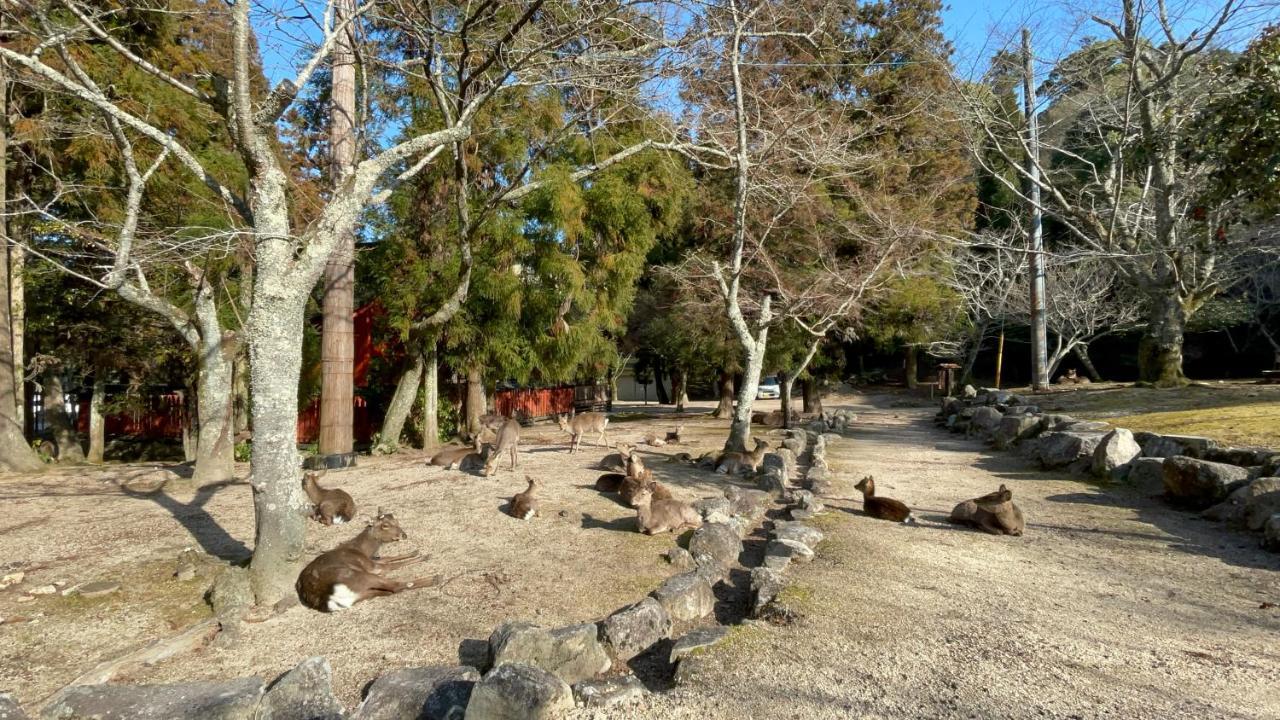 Miyajima Morinoyado Ξενοδοχείο Hatsukaichi Εξωτερικό φωτογραφία