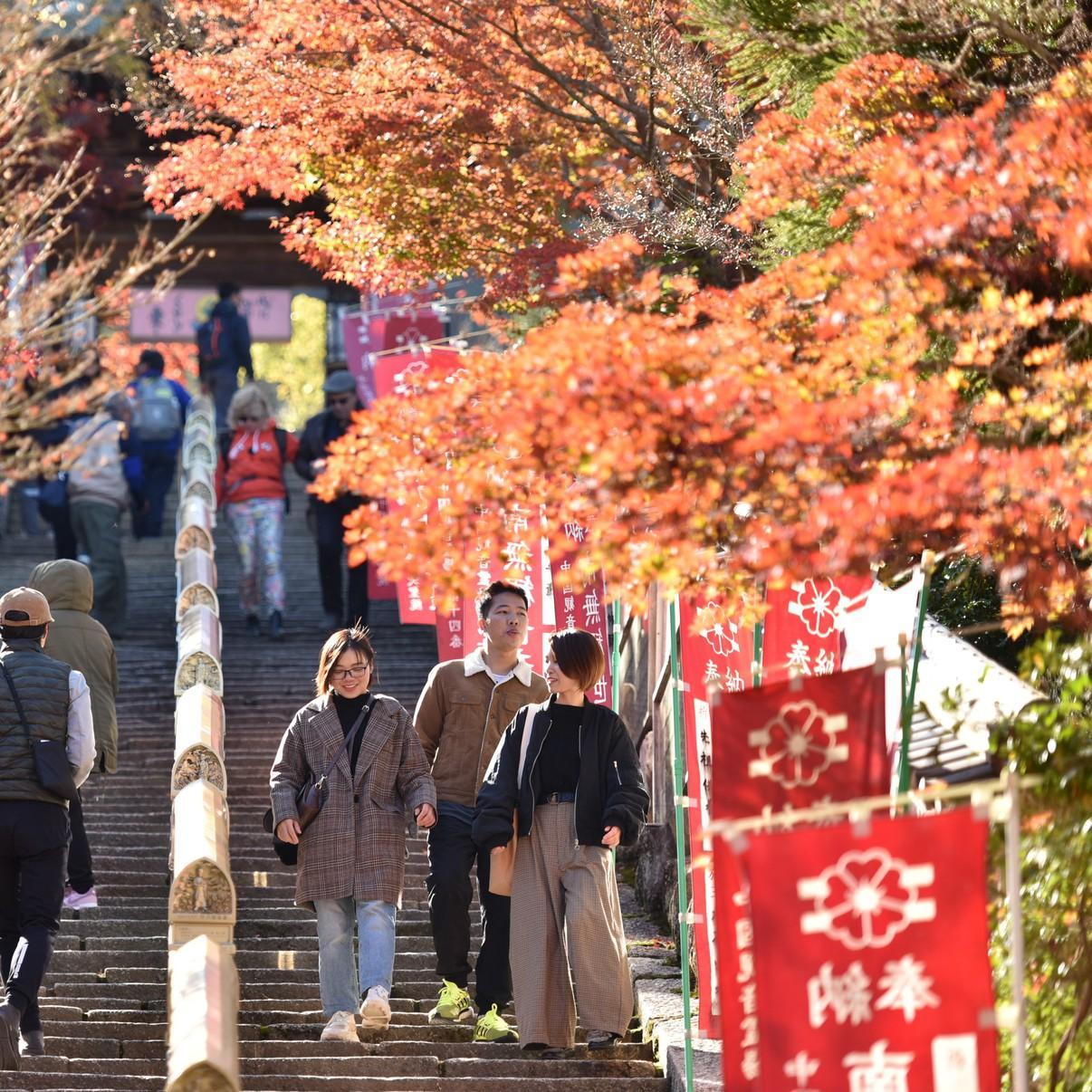 Miyajima Morinoyado Ξενοδοχείο Hatsukaichi Εξωτερικό φωτογραφία