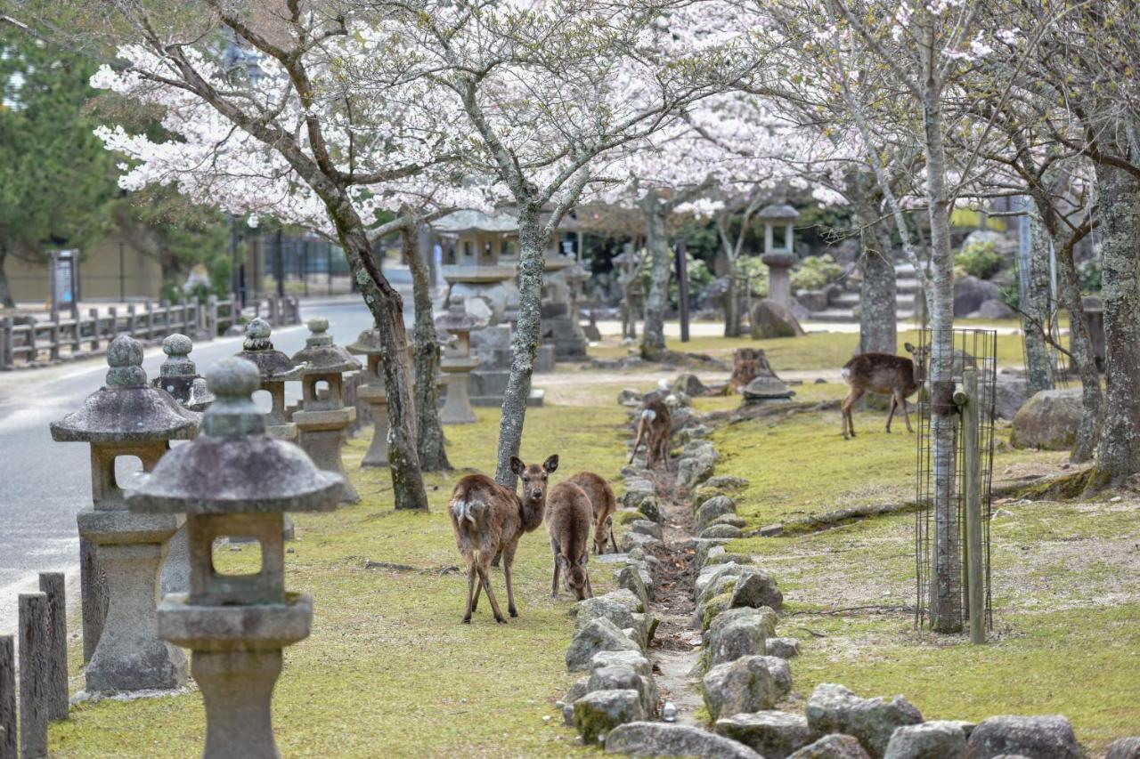 Miyajima Morinoyado Ξενοδοχείο Hatsukaichi Εξωτερικό φωτογραφία