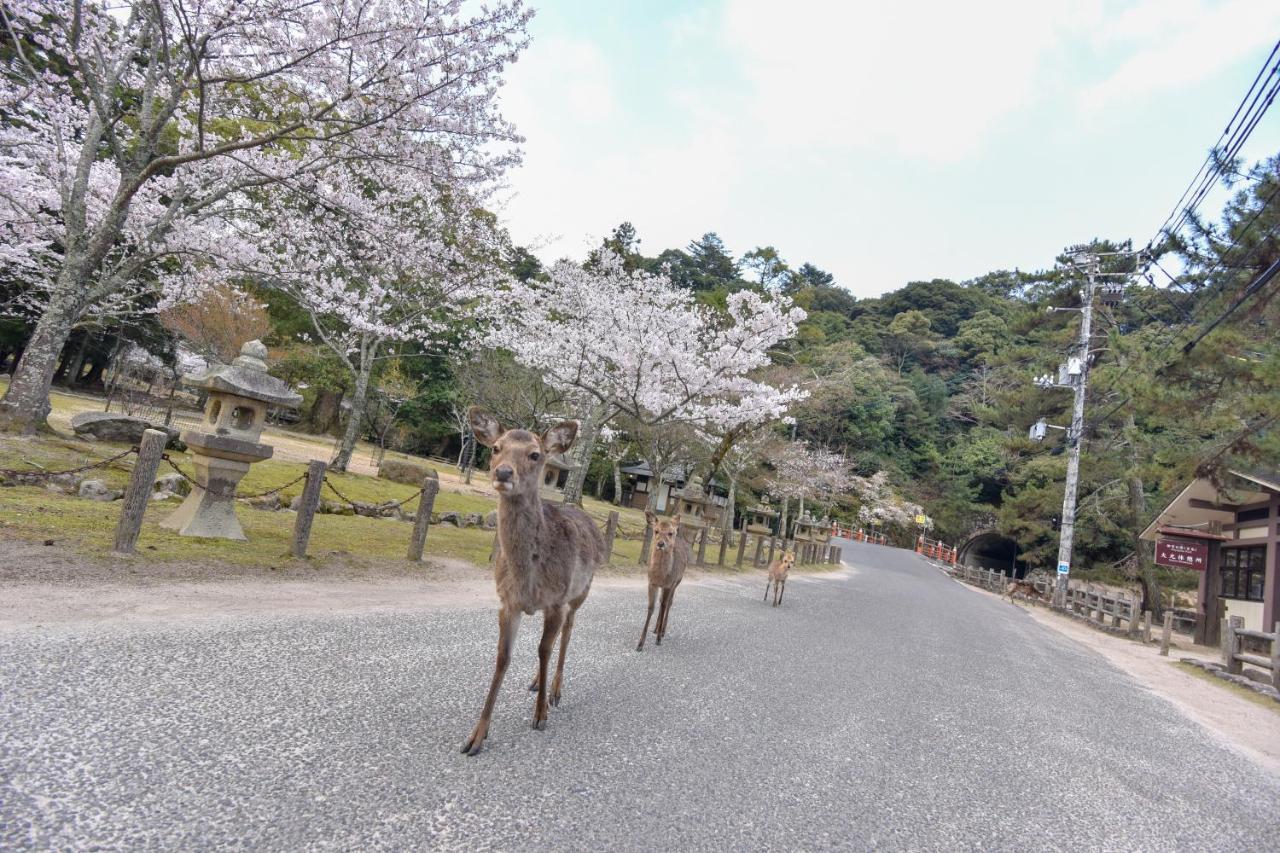 Miyajima Morinoyado Ξενοδοχείο Hatsukaichi Εξωτερικό φωτογραφία