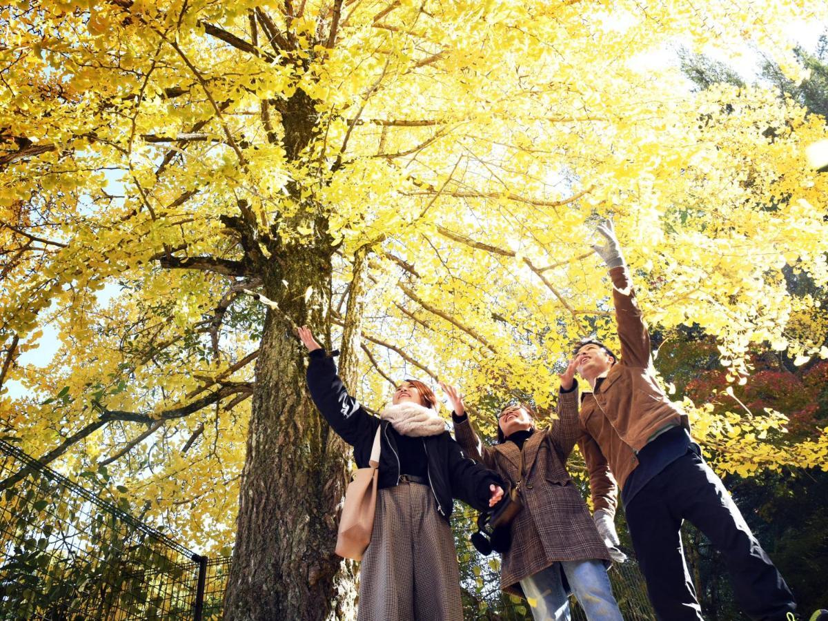 Miyajima Morinoyado Ξενοδοχείο Hatsukaichi Εξωτερικό φωτογραφία