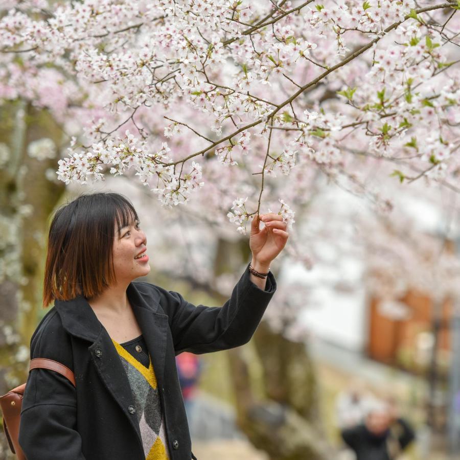 Miyajima Morinoyado Ξενοδοχείο Hatsukaichi Εξωτερικό φωτογραφία